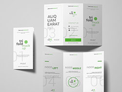 Brochures